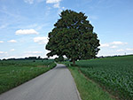 Wir verlassen Halmsried Richtung Osten...