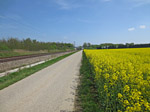 Von Schmidhausen folgen wir den Bahngleisen Richtung Langenbach