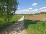Ein Feldweg bringt uns von Elsendorf...