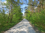 ...und von dort abseits des großen Verkehrs...