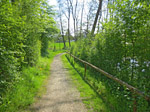 Vorbei am Klosterweiher...
