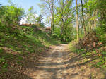 Über einen Feldweg...