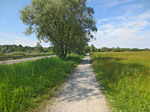...und später über einen Radweg...