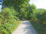 ...und durch Wald...