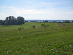 Blick zum Ammersee