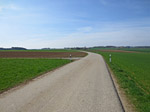 Über die verkehrsarme Landstraße...