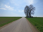 ...und folgen der Landstraße...