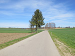 Über die Freuenberger Straße...
