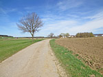 Auf der Höhe von Irschenhofen biegen wir in einen Feldweg ein