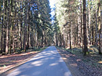 ...und durch ein Waldstück...