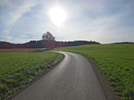 Wir passieren einen einsamen Baum mit Wegkreuz...