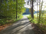 ...und durch ein weiteres Waldstück hindurch