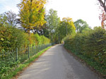 ...und weiter zum Steinsee