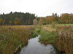...vorbei an schöner Moorlandschaft...