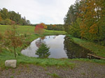 Weiher in Spielberg