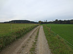 ...biegen wir rechts in einen Feldweg ein...