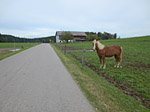 ...nach Kaltenbrunn