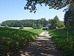 Gleich nach dem Wald biegen wir rechts ab...