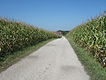 ...und folgen einem Feldweg...
