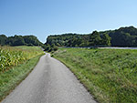 ...zur B 304, der wir über den Radweg ein Stück folgen