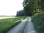 ...und folgen später einem Karrenweg...