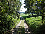 ...und radeln über einen Karrenweg...