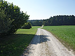 Kurz nach Schalkham radeln wir über einen Schotterweg...