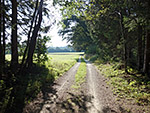 Ein Feld- und Waldweg...