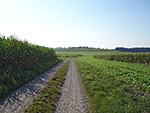 ...und gelangen über einen Feldweg...