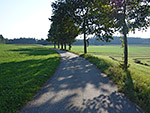 Von Taiding folgen wir dem Weg weiter...