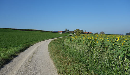 Bauernhof-Safari