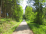 ...durchradeln wir ein Waldstück