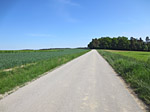 Von Geiseldorf folgen wir der Landstraße...