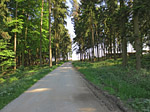 ...durch ein Waldstück...
