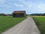 ...und folgen einem Feldweg ins Brucker Moos hinein