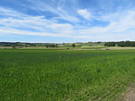 Blick in Richtung Bruck