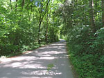 Durch ein Waldstück radeln wir hinauf...