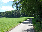 Vorbein Wäldern...