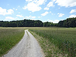 ...und biegen dann in einen Feldweg ein, ...