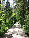 ...der uns später durch ein Waldstück hindurch leitet