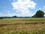 Blick zu den Chiemgauer Alpen