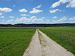 Von Gengham bringt uns ein Feldweg...