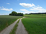 Von Höhenstetten leitet uns ein Karrenweg...