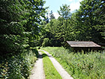 ...wieder in den Wald hinein