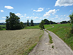 Ein weiterer Feldweg...
