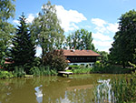 Kleiner Weiher in Stein