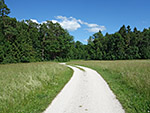 Der Mühlweg bringt uns schließlich...