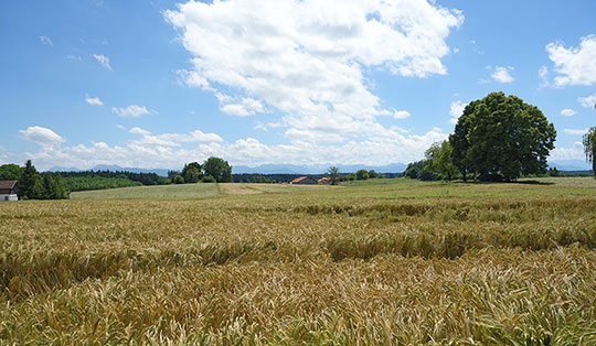Chiemgauer Schmankerltour Chiemgauer Schmankerltour
