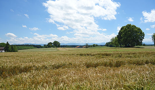 Chiemgauer Schmankerltour