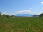 ...radeln wir am Chiemsee entlang